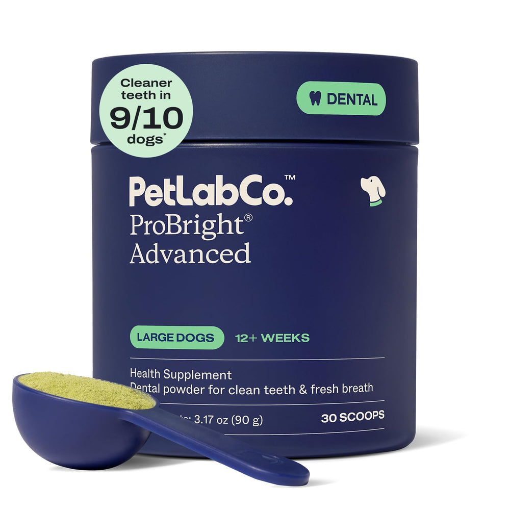 PetLab Co. boîte ProBright Advanced pour grands chiens montrant emballage clair