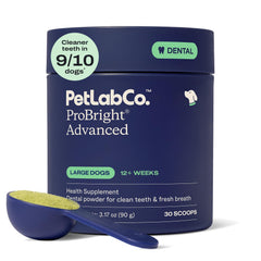 PetLab Co. boîte ProBright Advanced pour grands chiens montrant emballage clair