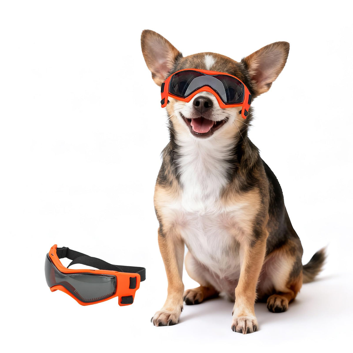 PETLESO face avant du produit montrant la monture orange et le design adaptatif