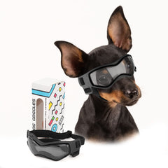 PETLESO lunettes devant emballage présentant protection pour sorties