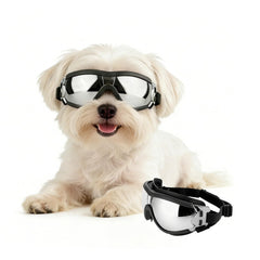 PETLESO lunettes face avant montrant ajustement et protection