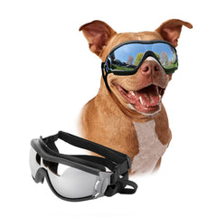 PETLESO lunettes face montrant maintien et protection confort