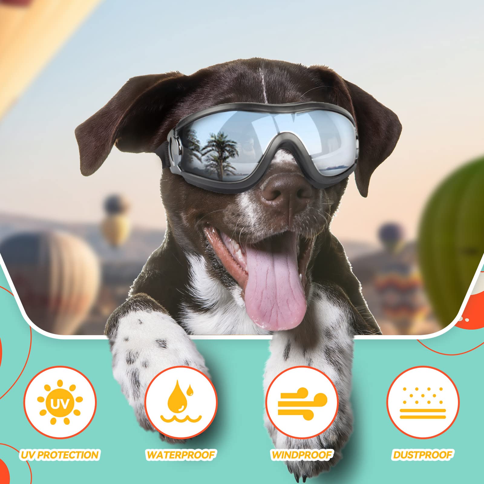 PETLESO lunettes portées sur chien en balade offrant sécurité