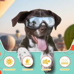 PETLESO lunettes portées sur chien en balade offrant sécurité