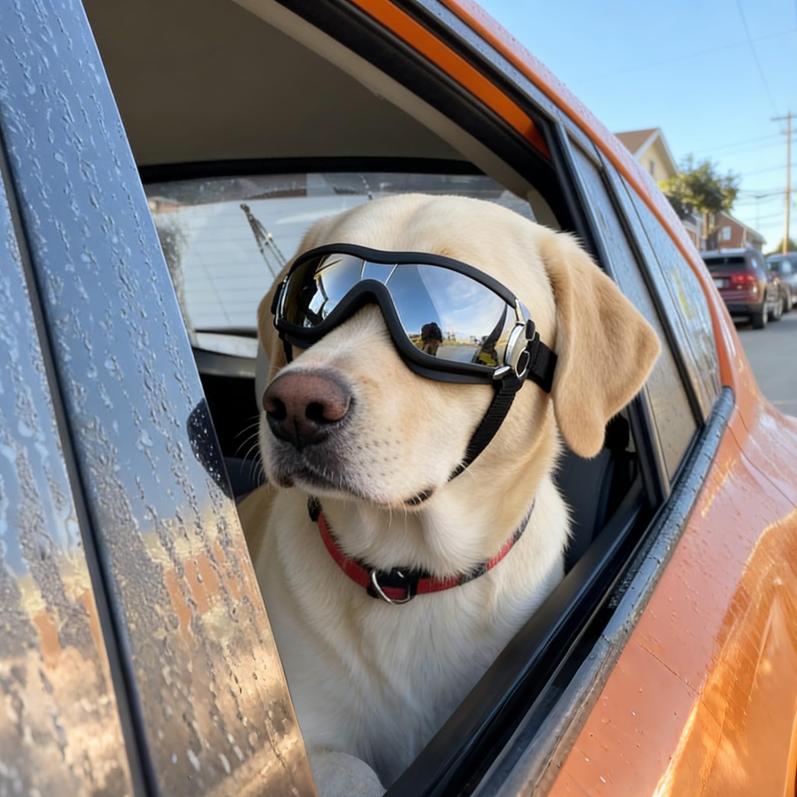 PETLESO style vie chien élégant et protégé pendant trajet