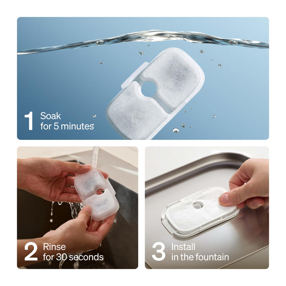 PETLIBRO scène lifestyle chat buvant montre eau fraîche encourage hydratation