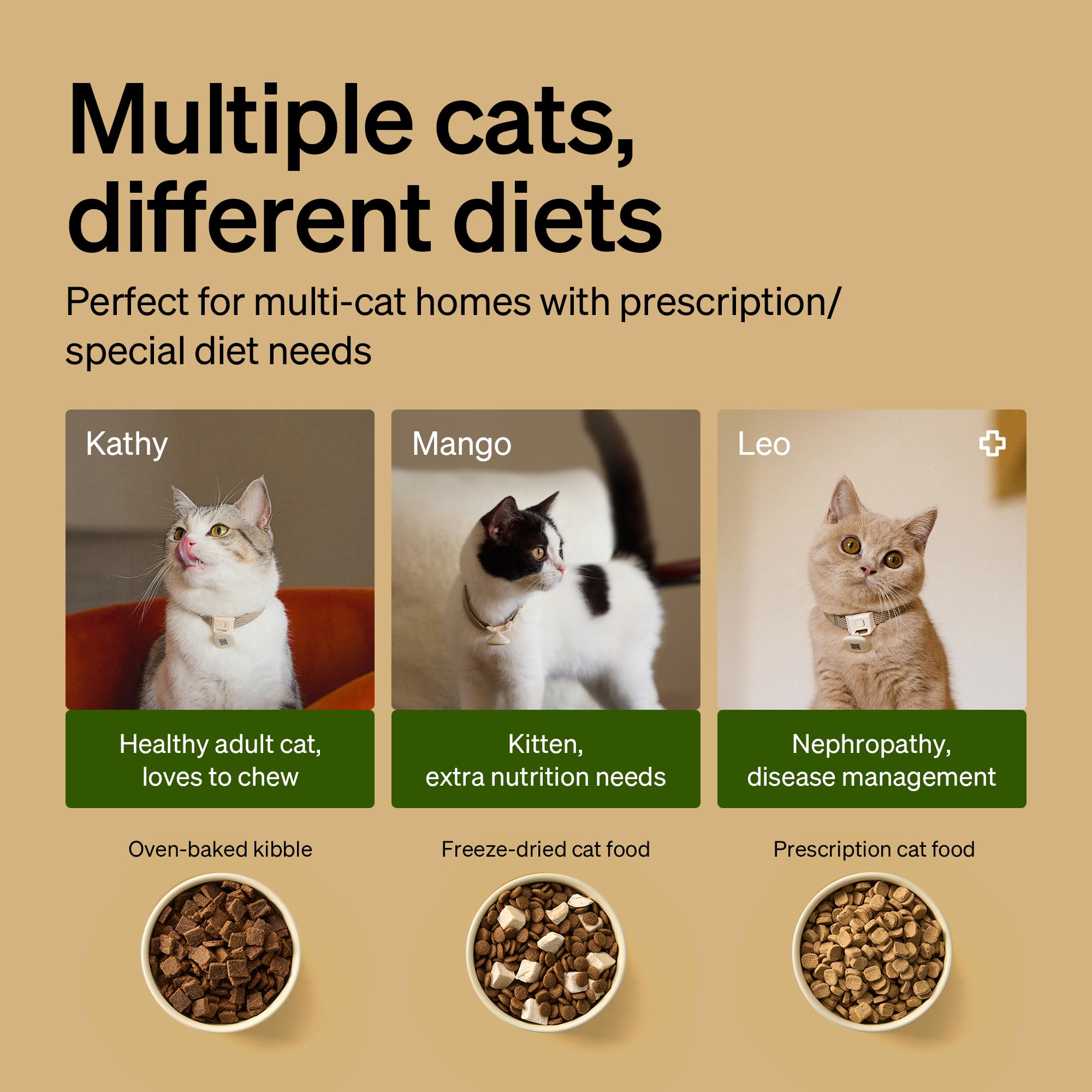 PETLIBRO écran d’application Pawsense montrant suivi des repas et alertes