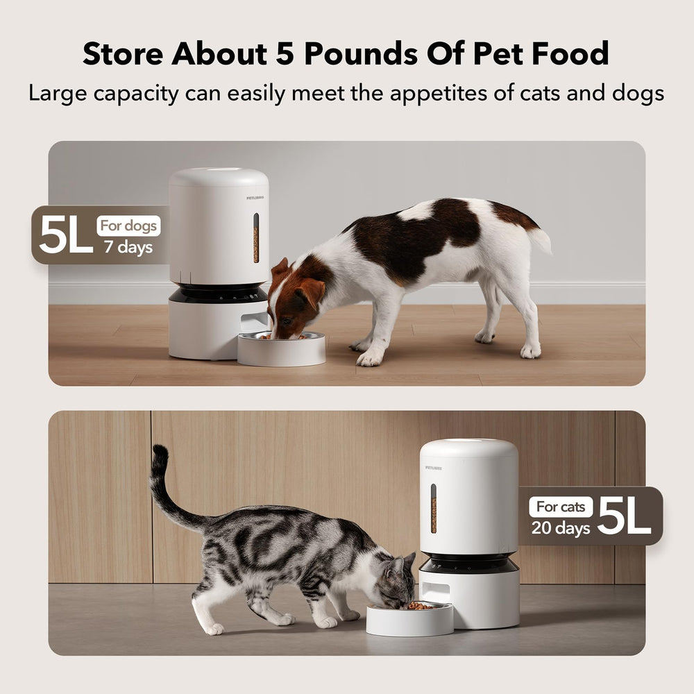 PETLIBRO application mobile affichant planning de repas et alertes
