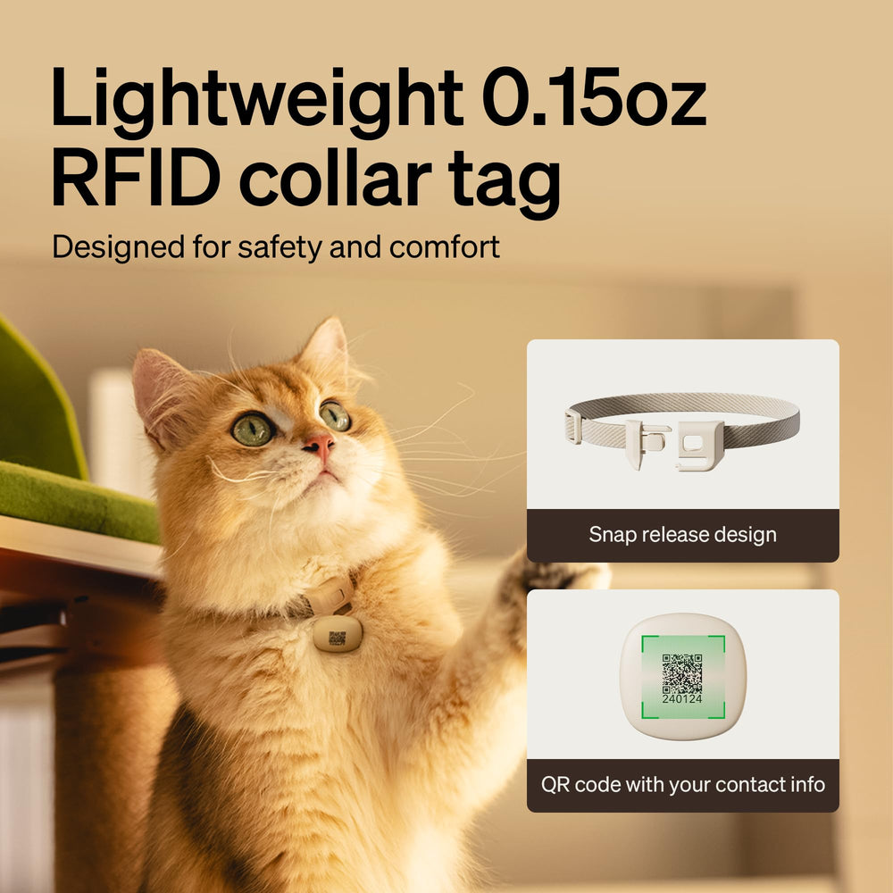 PETLIBRO taille du distributeur comparée à une boîte de croquettes pour échelle