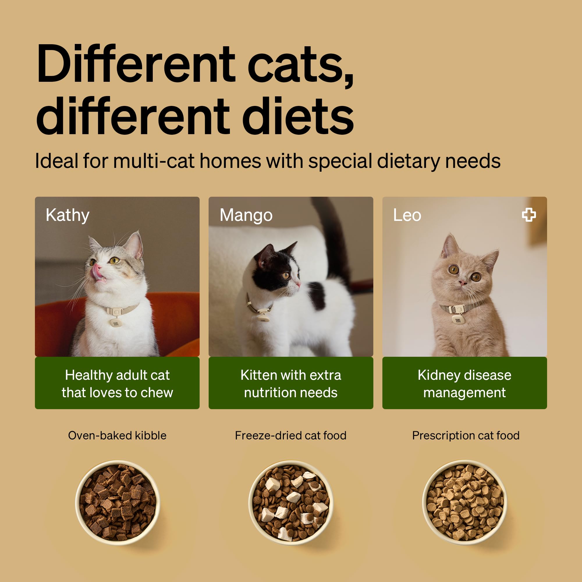 PETLIBRO compartiment à croquettes ouvert montrant rotor étanche pour fraîcheur