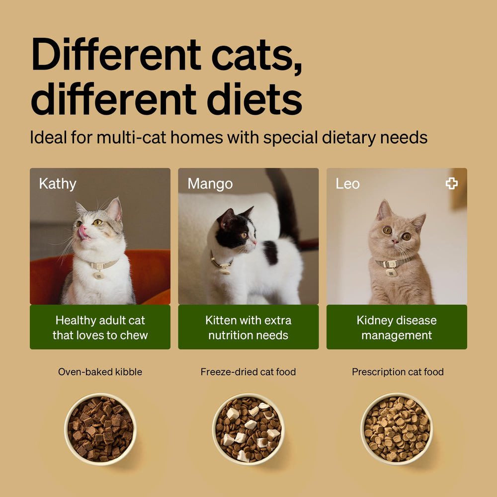 PETLIBRO compartiment à croquettes ouvert montrant rotor étanche pour fraîcheur