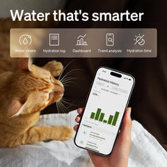 PETLIBRO gros plan du plateau en acier inoxydable pour une eau plus hygiénique