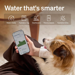 PETLIBRO application mobile affichant consommation pour suivi simple
