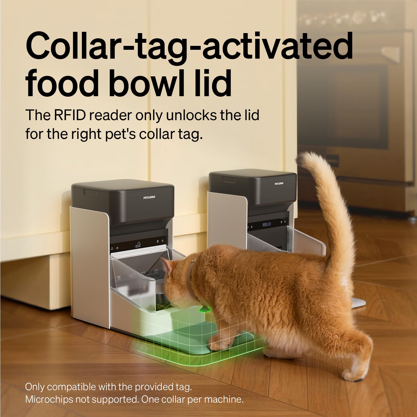 PETLIBRO gamelle en acier inoxydable amovible facilitant le nettoyage