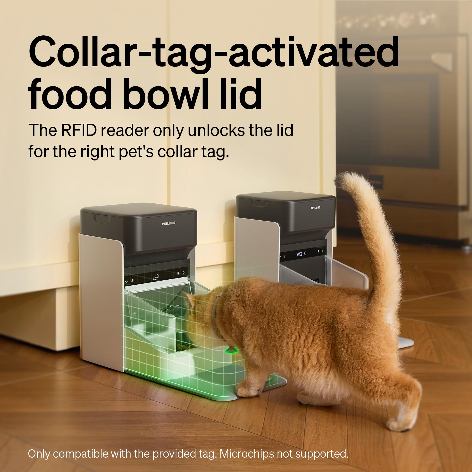 PETLIBRO gamelle inox détachable facilitant nettoyage et hygiène quotidienne