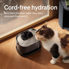 PETLIBRO plateau acier inoxydable résistant facile à nettoyer