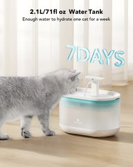 PETLIBRO pompe installée dans fontaine illustrant flux d'eau régulier