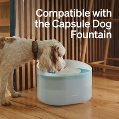 PETLIBRO pompe installée dans fontaine démontrant branchement simple