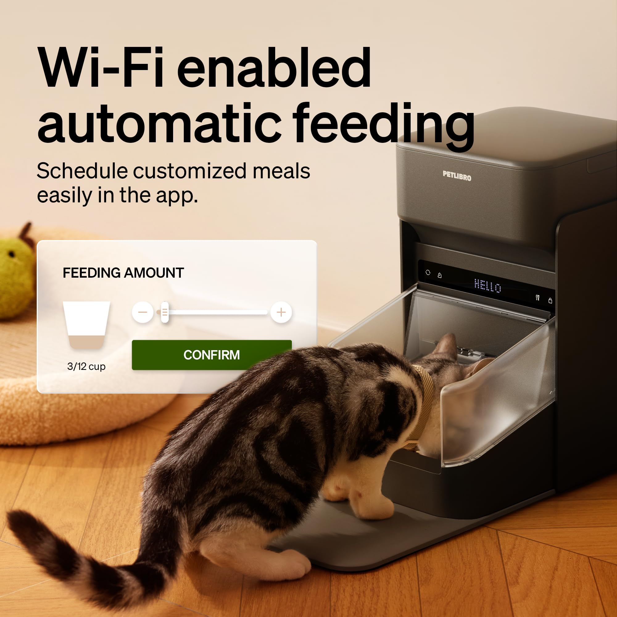 PETLIBRO chat utilisant le distributeur illustrant alimentation sans conflit