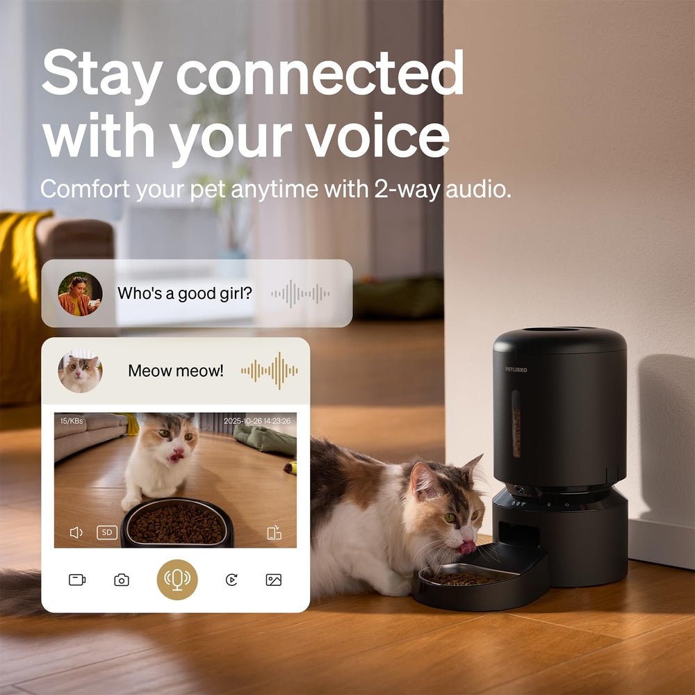PETLIBRO capture d'écran vision nocturne dans l'application pour surveillance 24/7