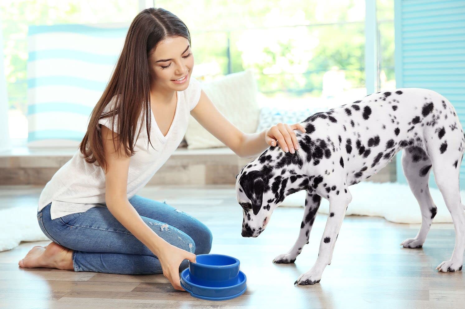PetLike comparaison de taille illustre capacité 24oz par bol