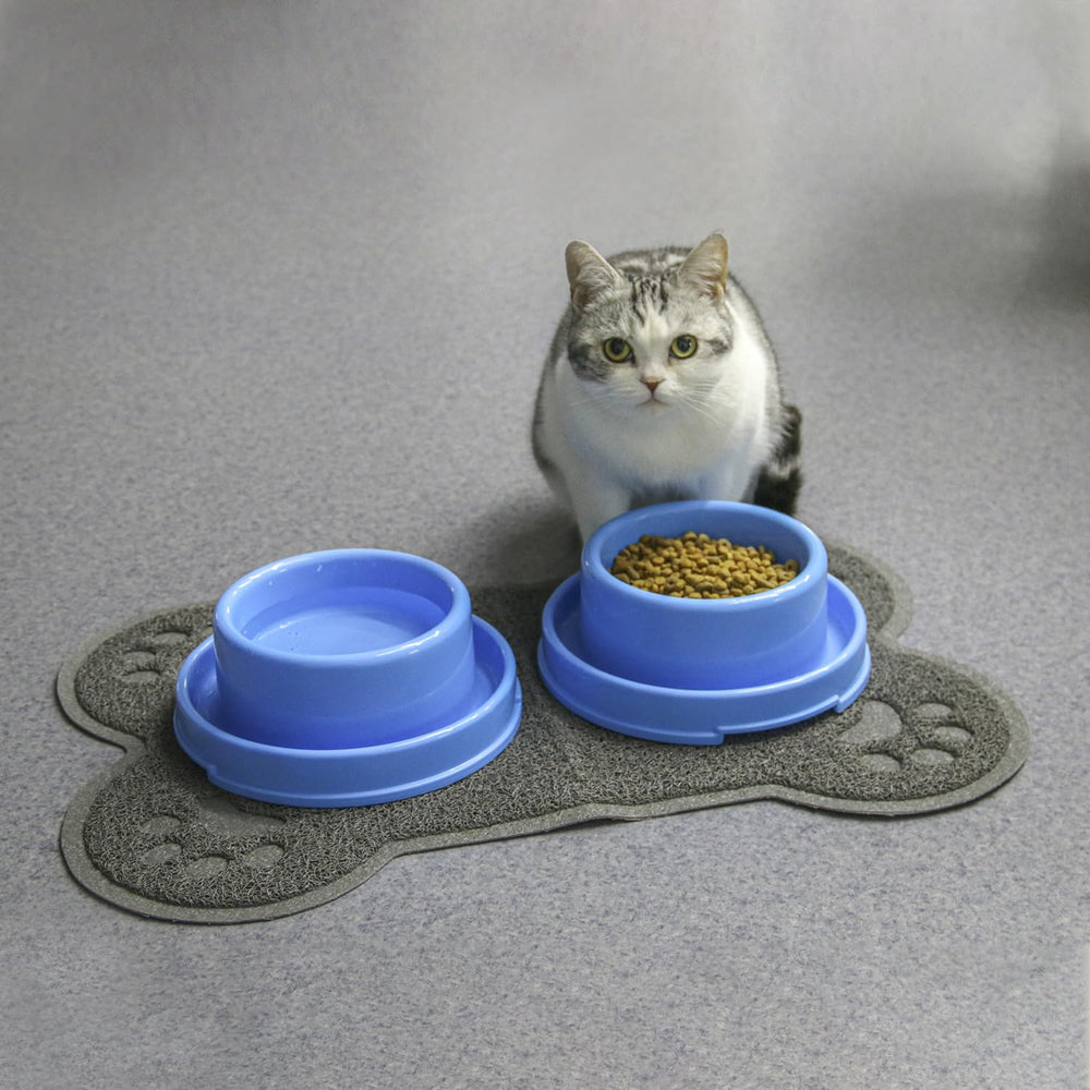 PetLike gamelle en usage avec chat pour repas sans insectes