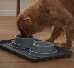 PetLike gamelle en usage par un chien illustrant facilité d'accès