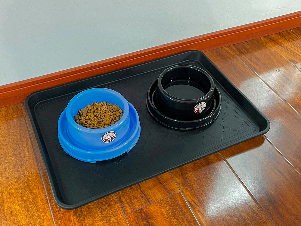 PetLike mise en scène entrée maison nettoyage simplifié