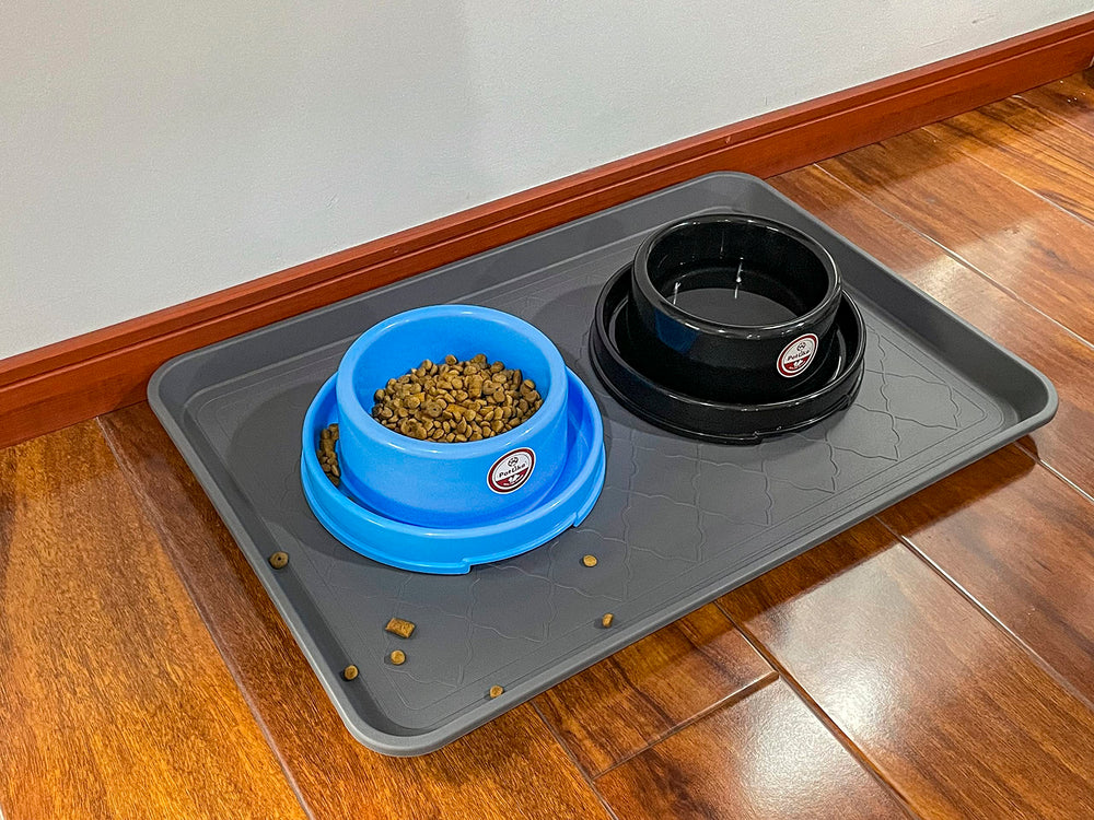PetLike mise en scène dans une entrée moderne, organise chaussures et accessoires