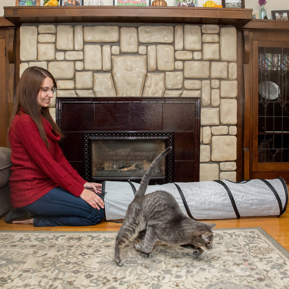 PetLike chat jouant dans le tunnel encourage activité et cachette