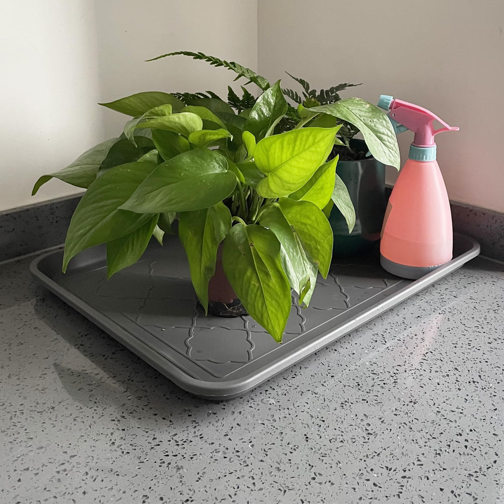 PetLike plateau utilisé comme tapis de repas pour animaux propre