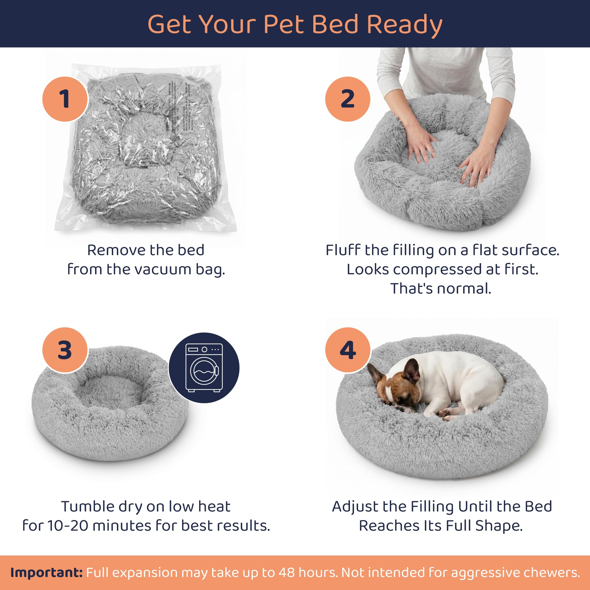 Petloox chien installé dans lit démontrant détente et posture relaxée