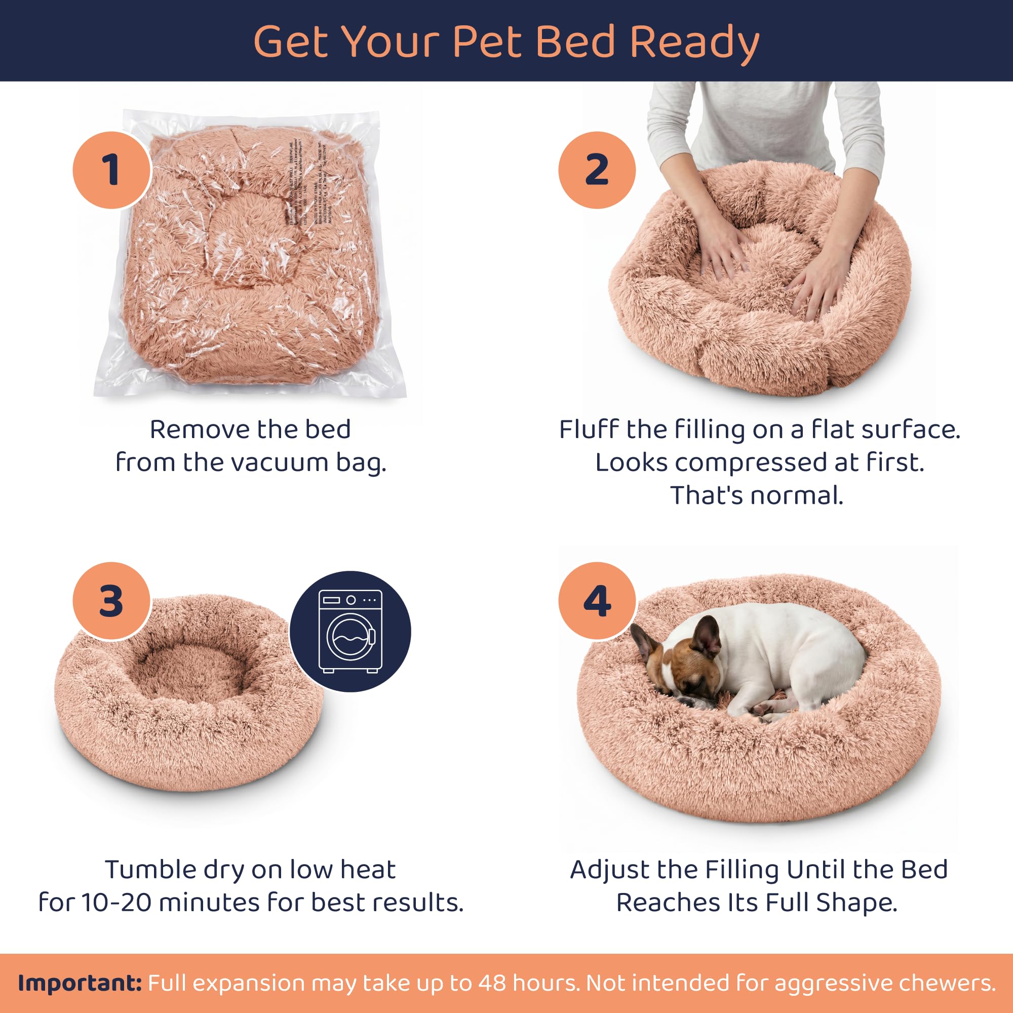 Petloox chien installé dans le panier illustrant sentiment de sécurité