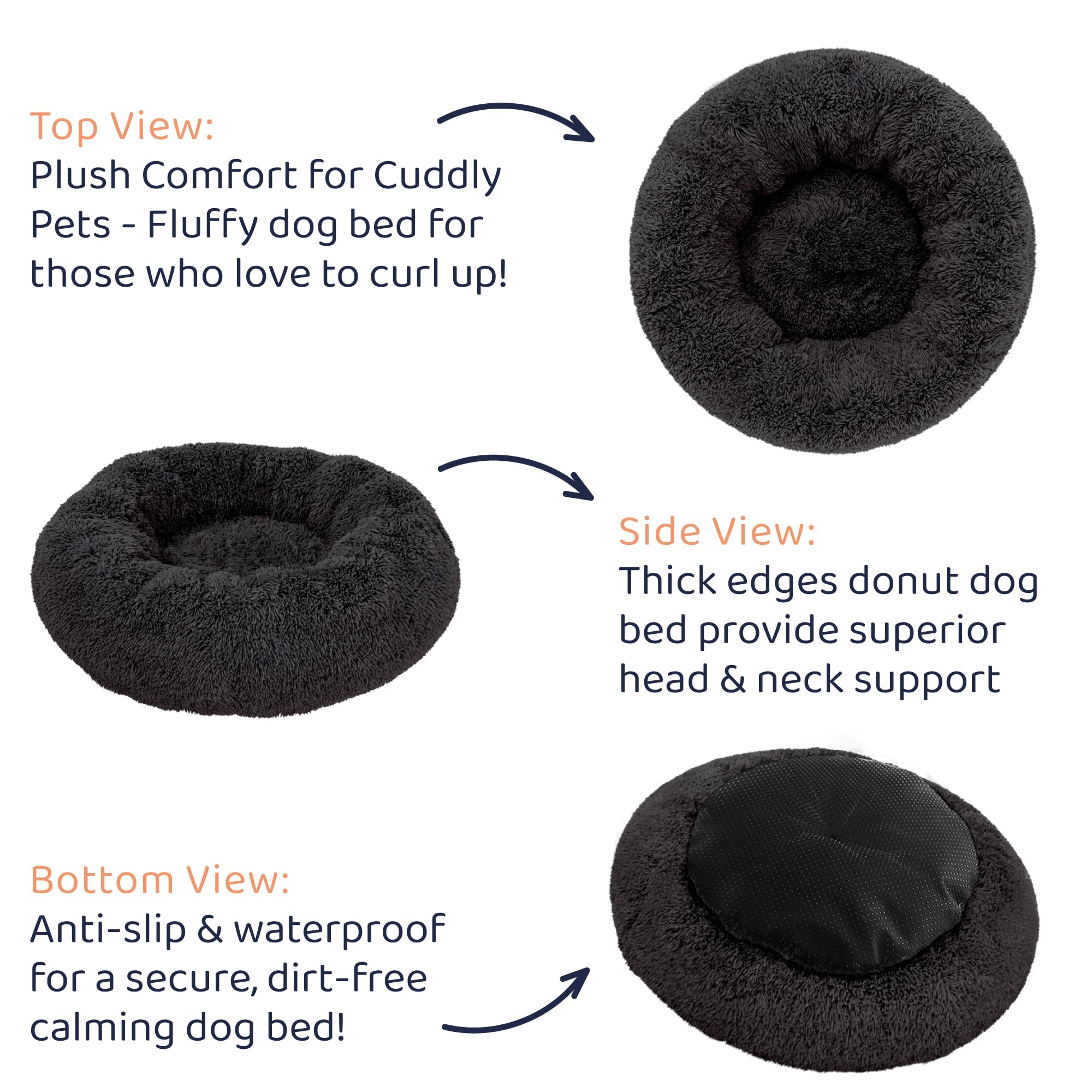 Petloox comparaison tailles pour choisir la bonne option