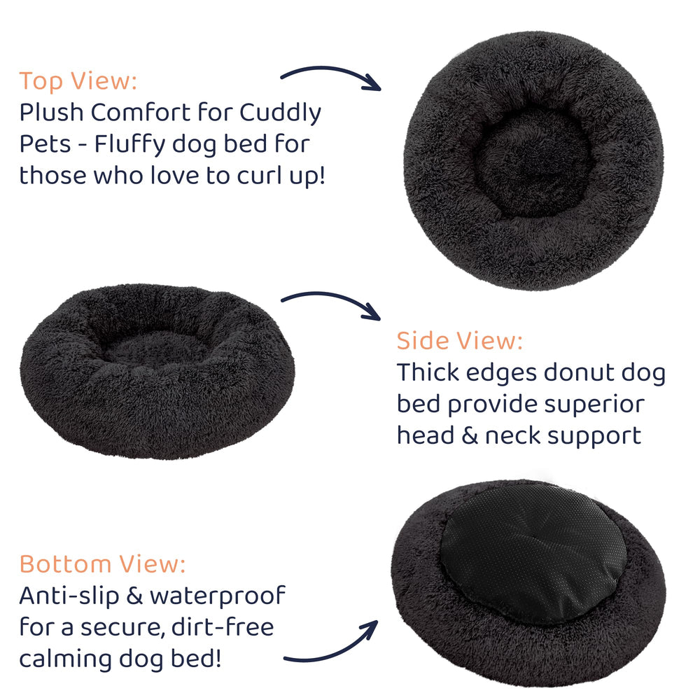 Petloox comparaison tailles pour choisir la bonne option