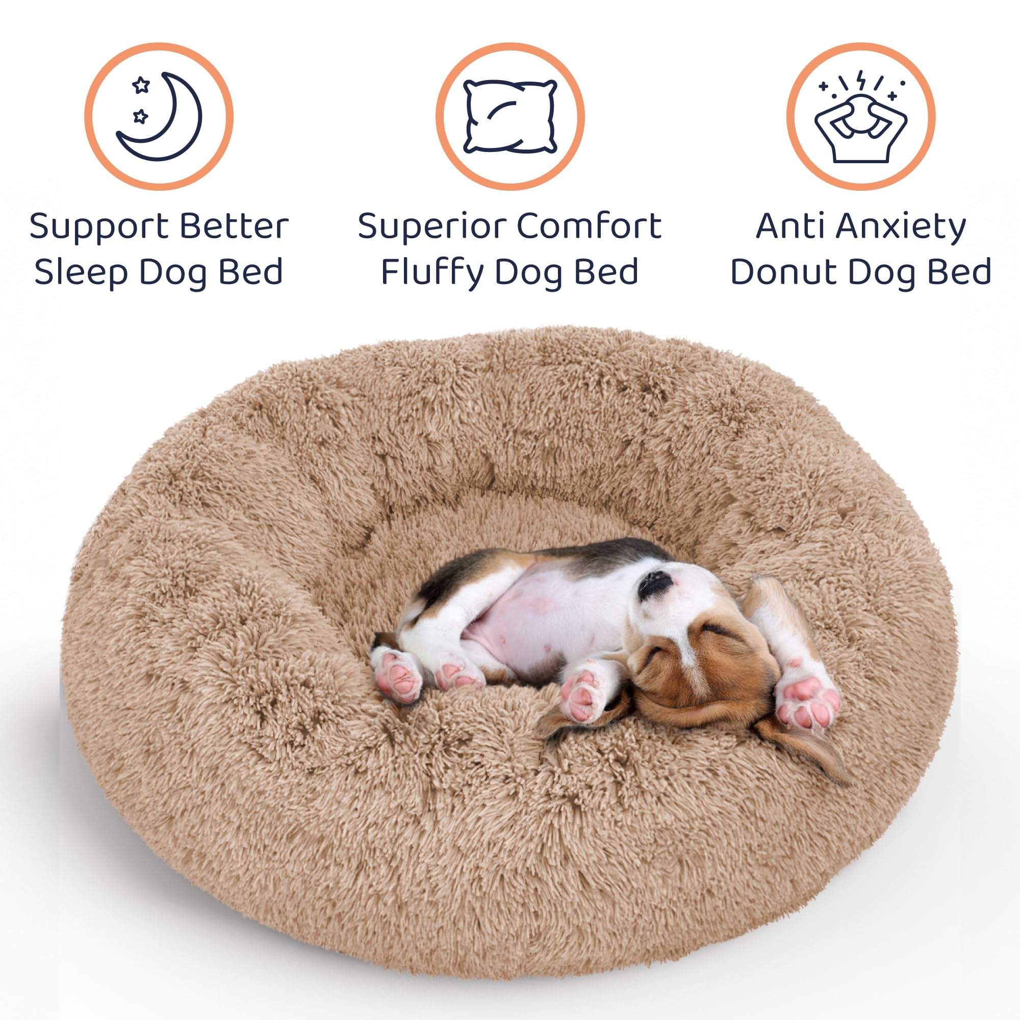 Petloox petit chien installé dans le lit, sécurité et détente visibles