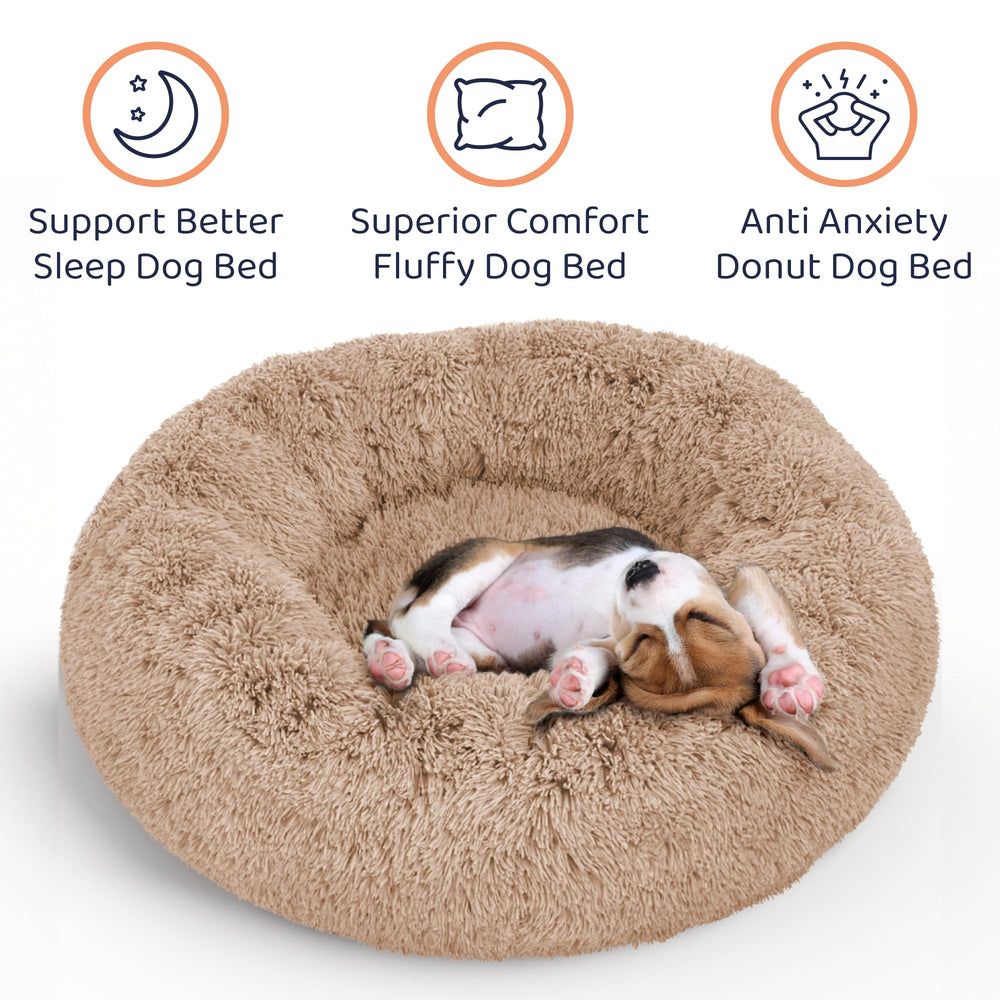 Petloox petit chien installé dans le lit, sécurité et détente visibles