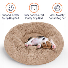 Petloox petit chien installé dans le lit, sécurité et détente visibles