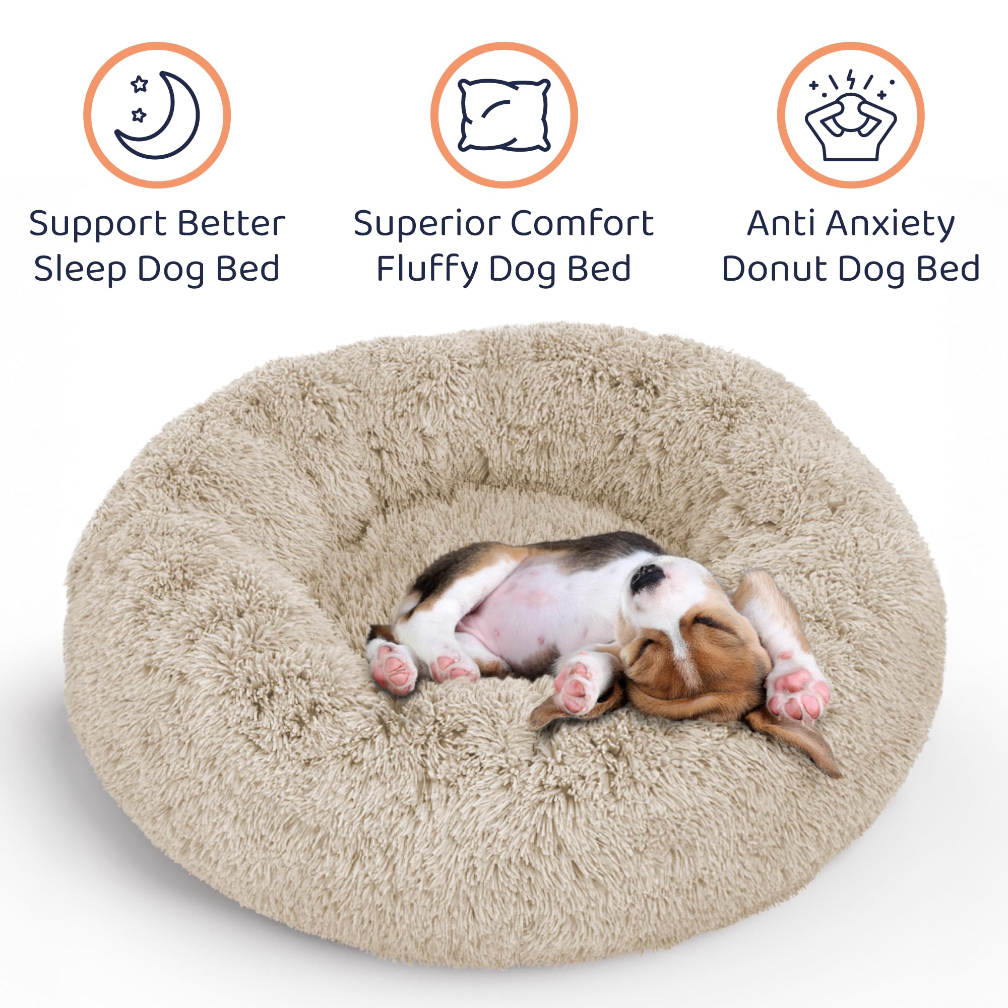 Petloox chiot blotti dedans illustrant effet calmant immédiat