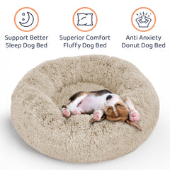 Petloox chiot blotti dedans illustrant effet calmant immédiat
