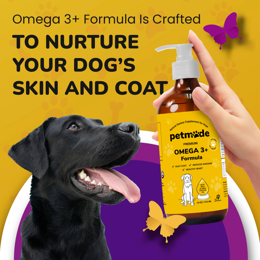 PETMADE gros plan de la texture d’huile montrant pureté et clarté
