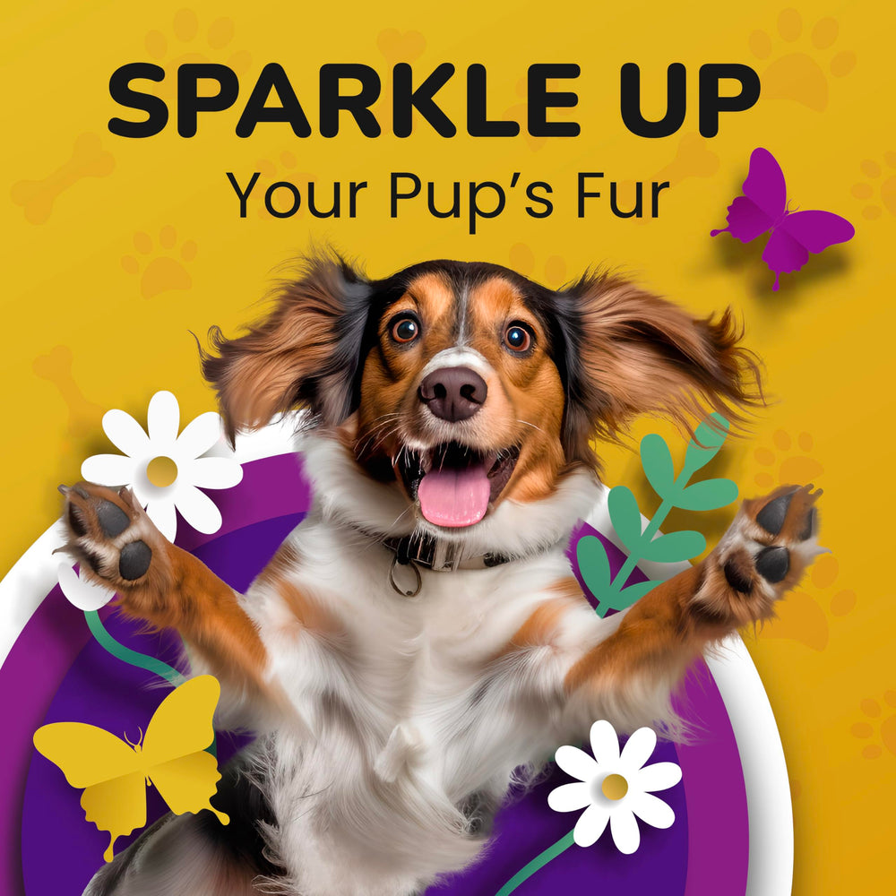 PETMADE étiquette ingrédients pour transparence et traçabilité