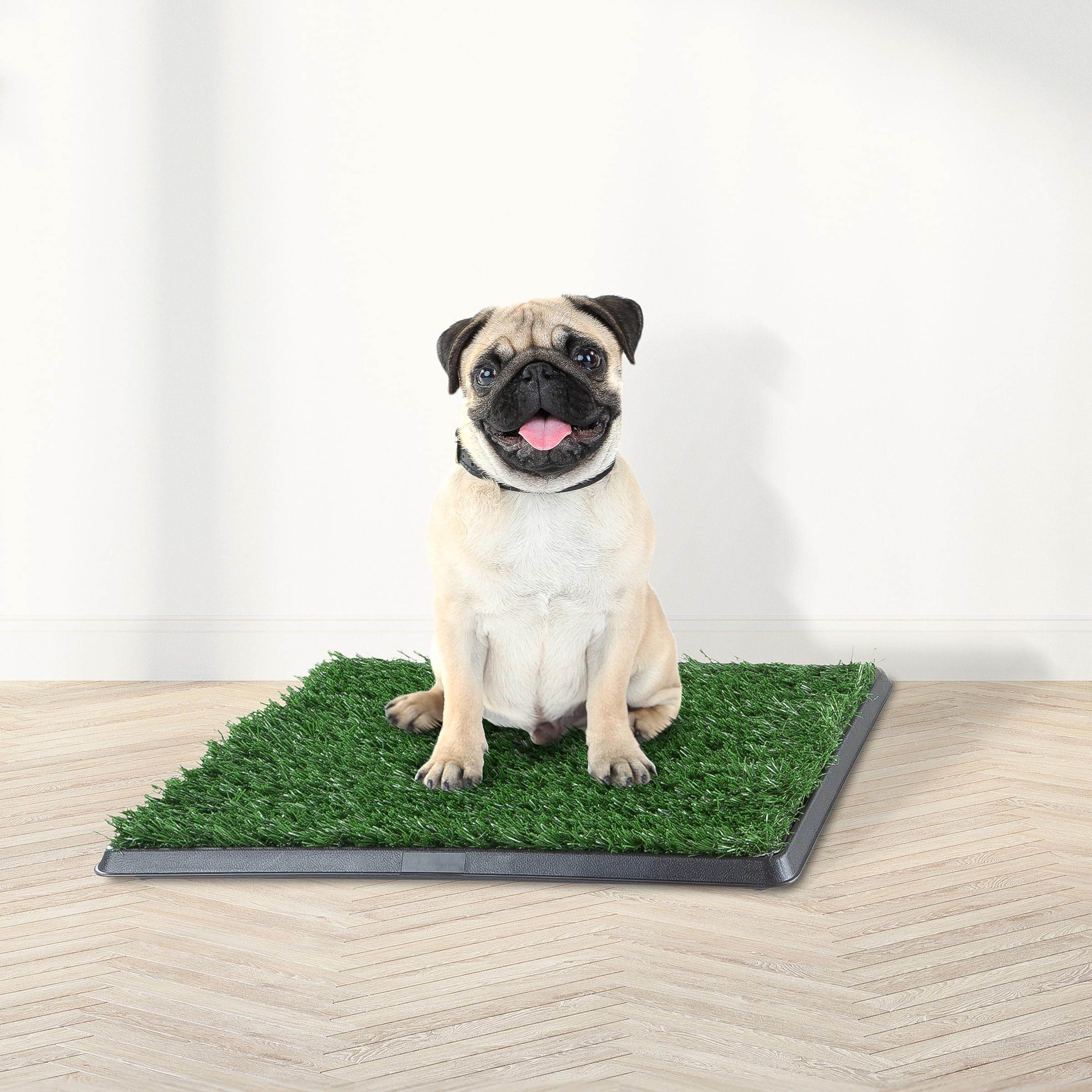 PETMAKER gros plan fibres du gazon soulignant confort et stimulation naturelle