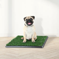 PETMAKER gros plan fibres du gazon soulignant confort et stimulation naturelle