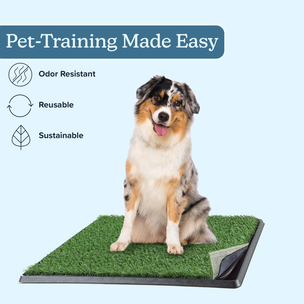 PETMAKER chiot utilisant le tapis à l'intérieur, facilite l'entraînement
