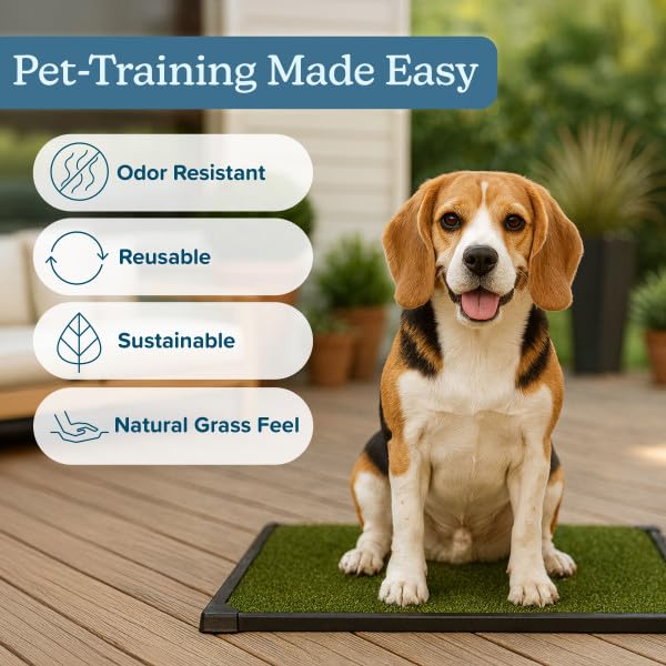PETMAKER chiot utilisant le tapis gazon, facilite apprentissage propreté