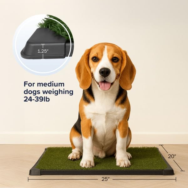 PETMAKER gros plan sur texture du gazon synthétique pour confort chien