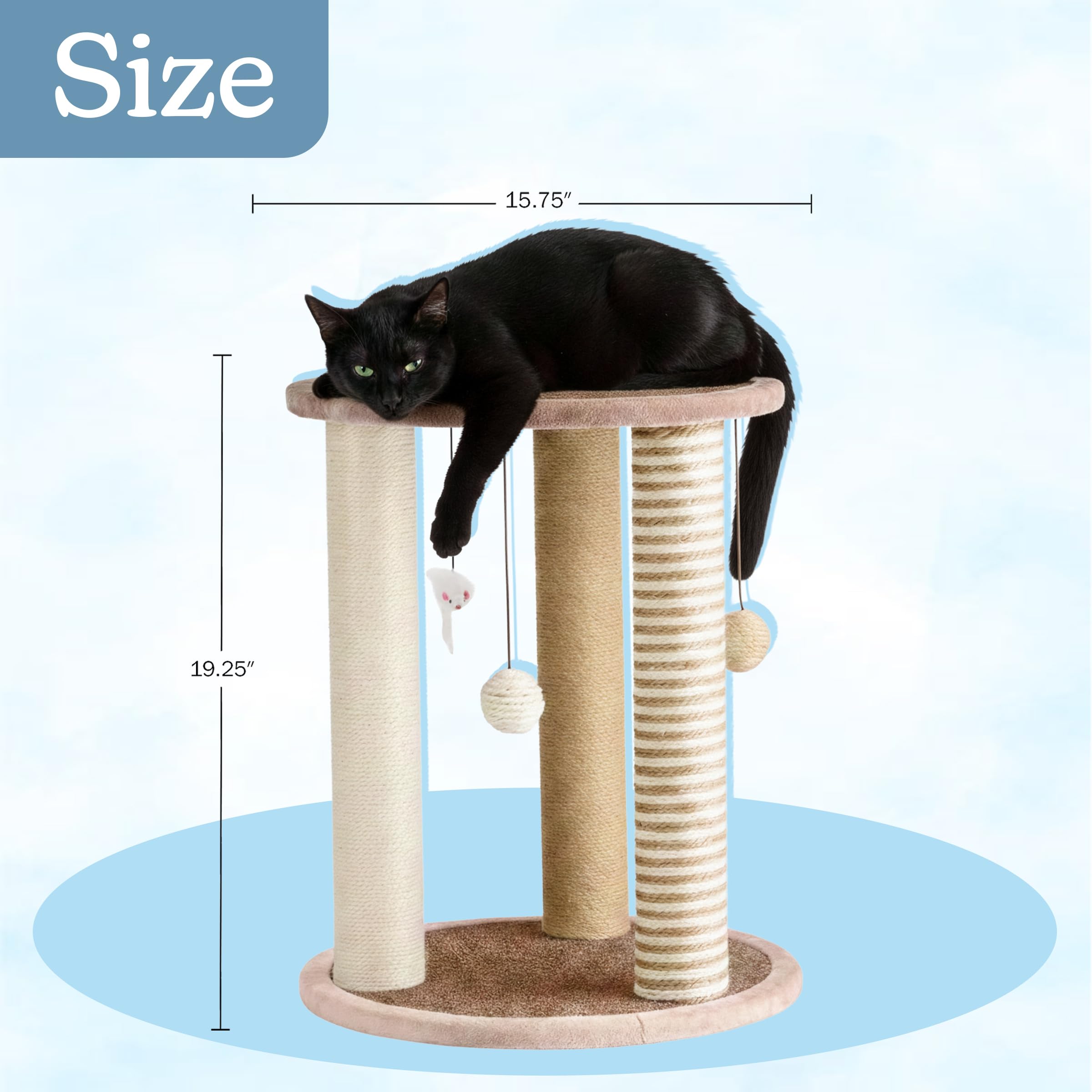PETMAKER comparaison dimensions montrant encombrement compact pour appartement