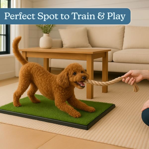 PETMAKER comparaison de taille pour voir l'échelle 16x20 pouces pratique