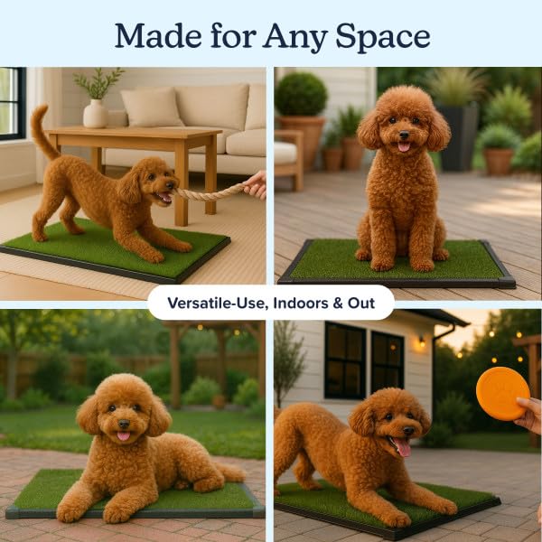 PETMAKER tapis en usage par un chiot, aide à l'apprentissage de la propreté
